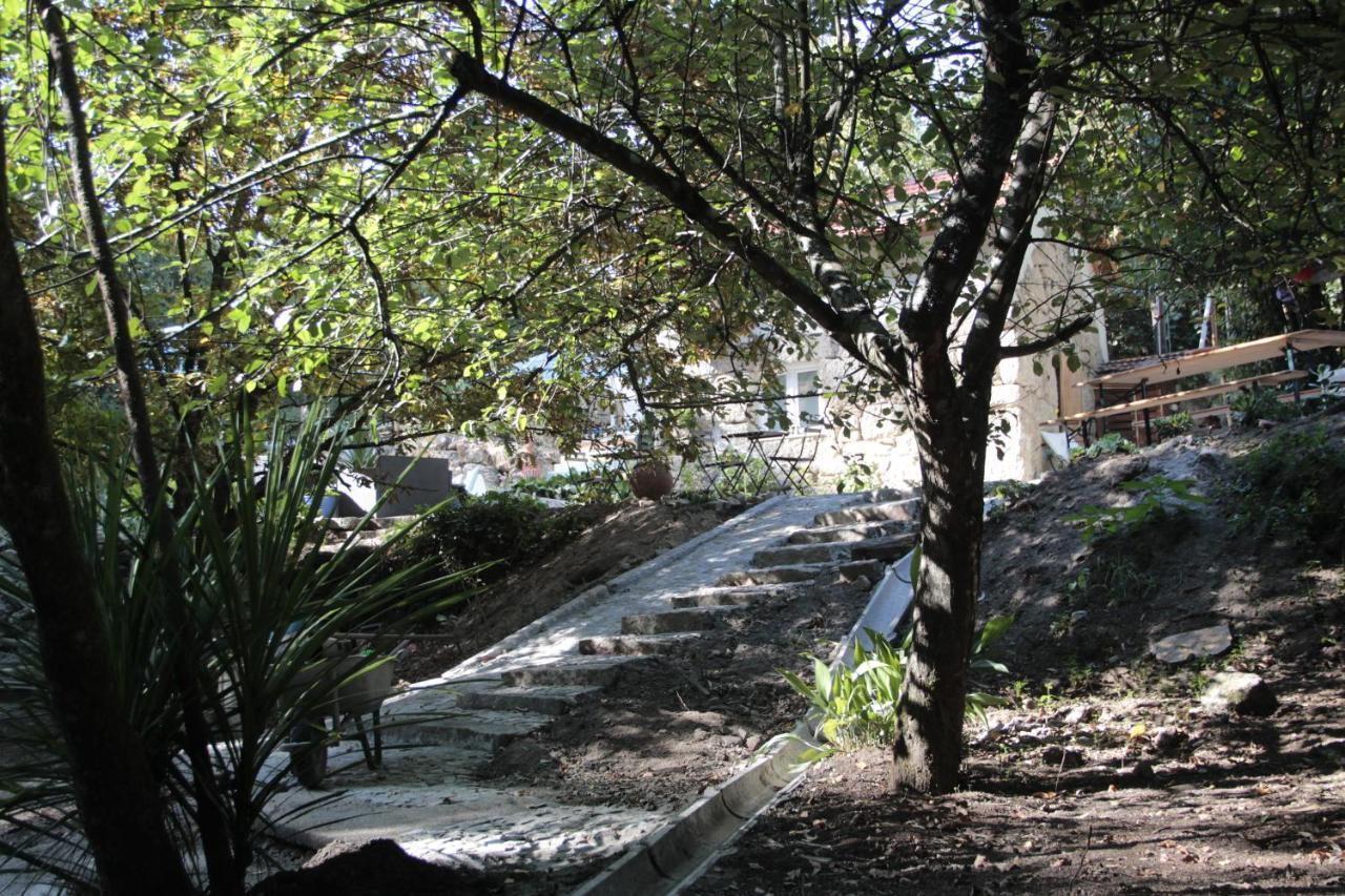 Bosque Dos Amieiros Villa Marco de Canaveses Exterior photo